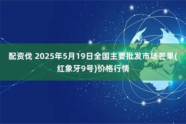 配资伐 2025年5月19日全国主要批发市场芒果(红象牙9号)价格行情