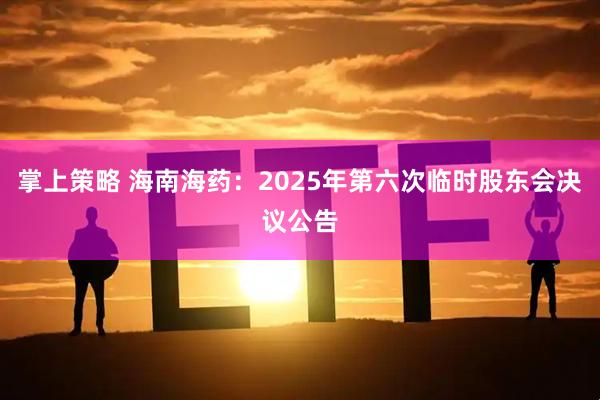掌上策略 海南海药：2025年第六次临时股东会决议公告